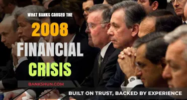 Banks Behind the Collapse: Uncovering 2008 Financial Crisis Culprits