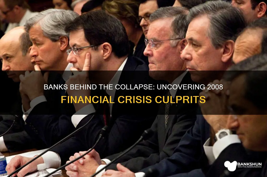 what banks caused the 2008 financial crisis