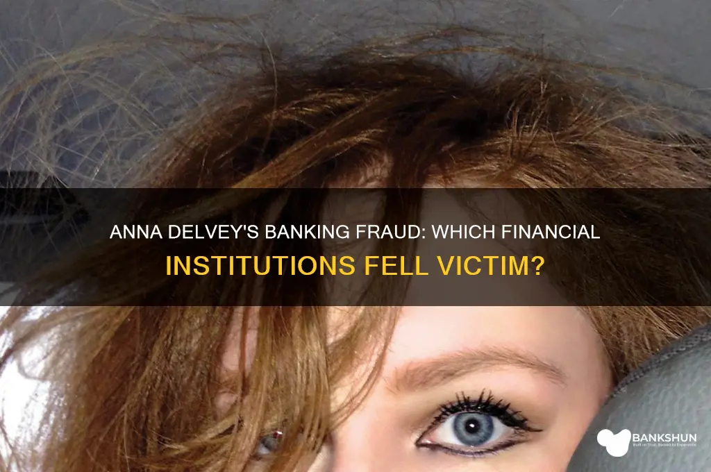 what banks did anna delvey steal from