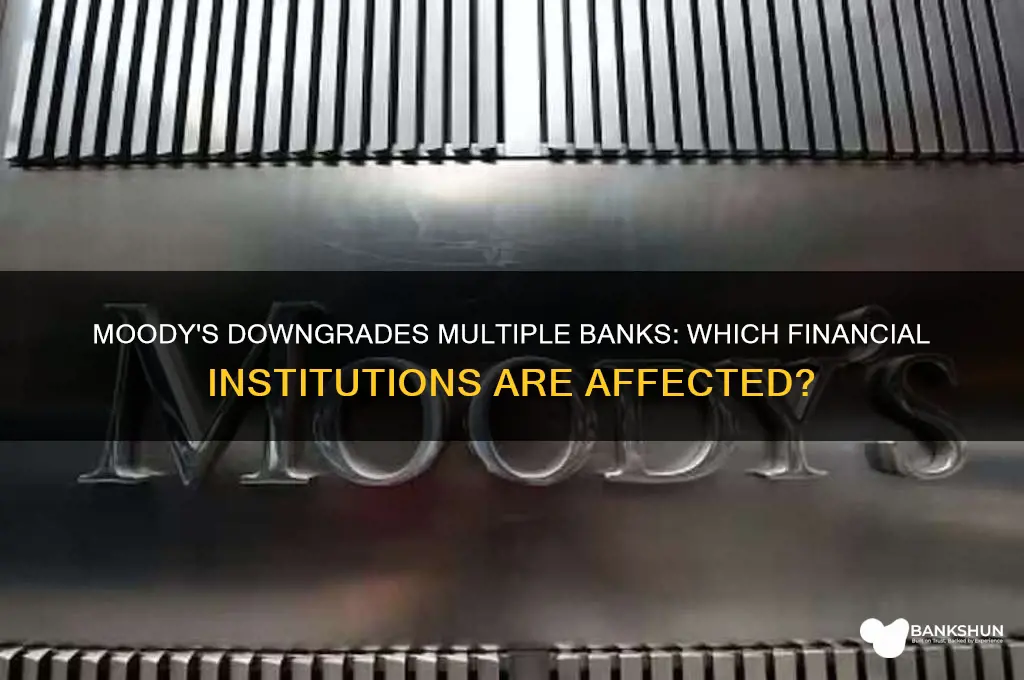 what banks did moody