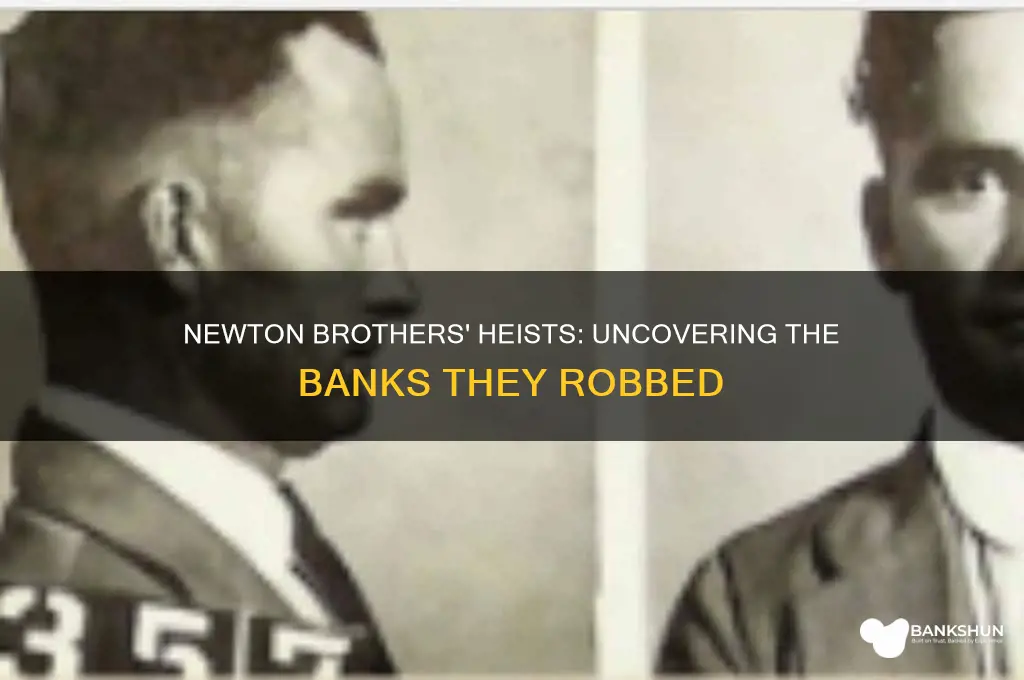 what banks did the newton brothers rob