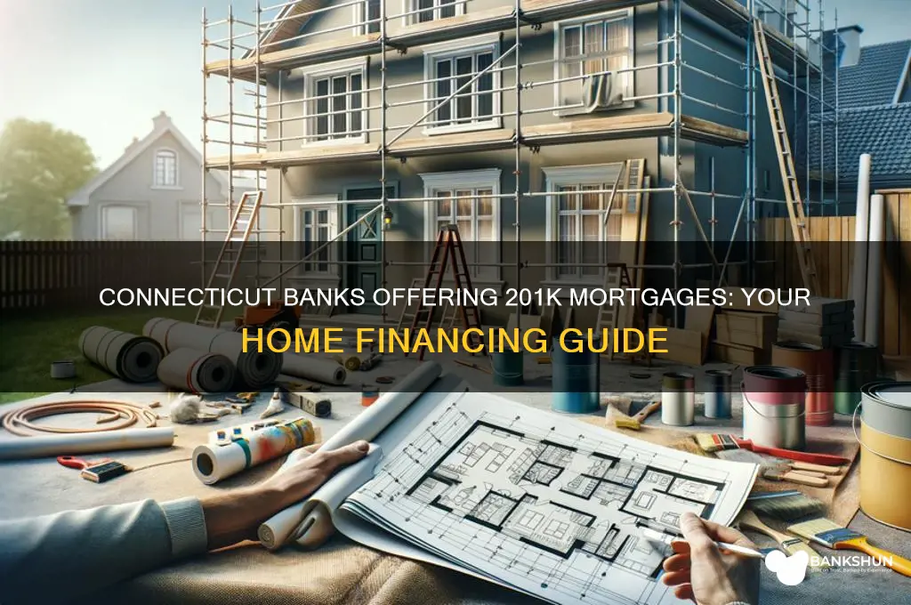 what banks do 201k mortgage in ct