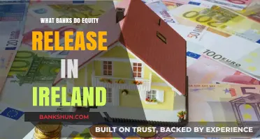 Top Irish Banks Offering Equity Release Options in Ireland