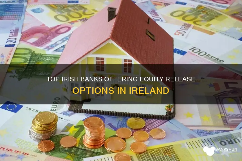 what banks do equity release in ireland