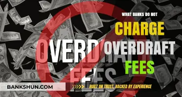 Banks Without Overdraft Fees: A Guide to Fee-Free Banking