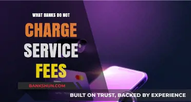 Banks Without Service Fees: Discover Fee-Free Banking Options