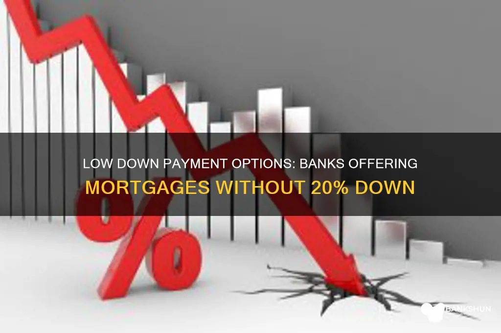 what banks does not require 20 down