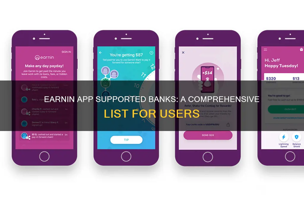 what banks does the earnin app support
