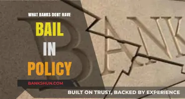 Banks Without Bail-In Policies: Understanding Their Financial Stability