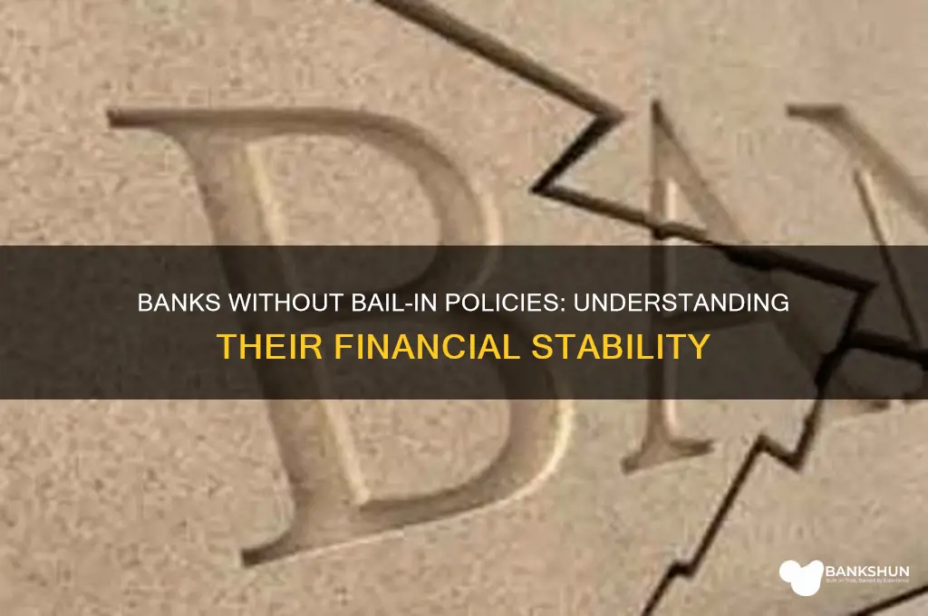 what banks dont have bail in policy