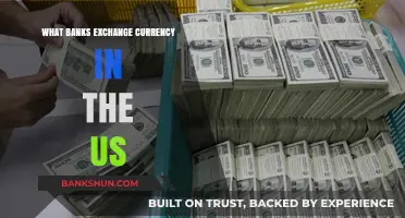 Where to Exchange Currency in the US: Top Banks Offering Services