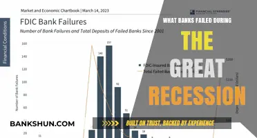 Bank Failures During the Great Recession: A Comprehensive Overview