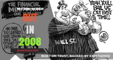2008 Financial Crisis: Which Major Banks Received Government Bailouts?