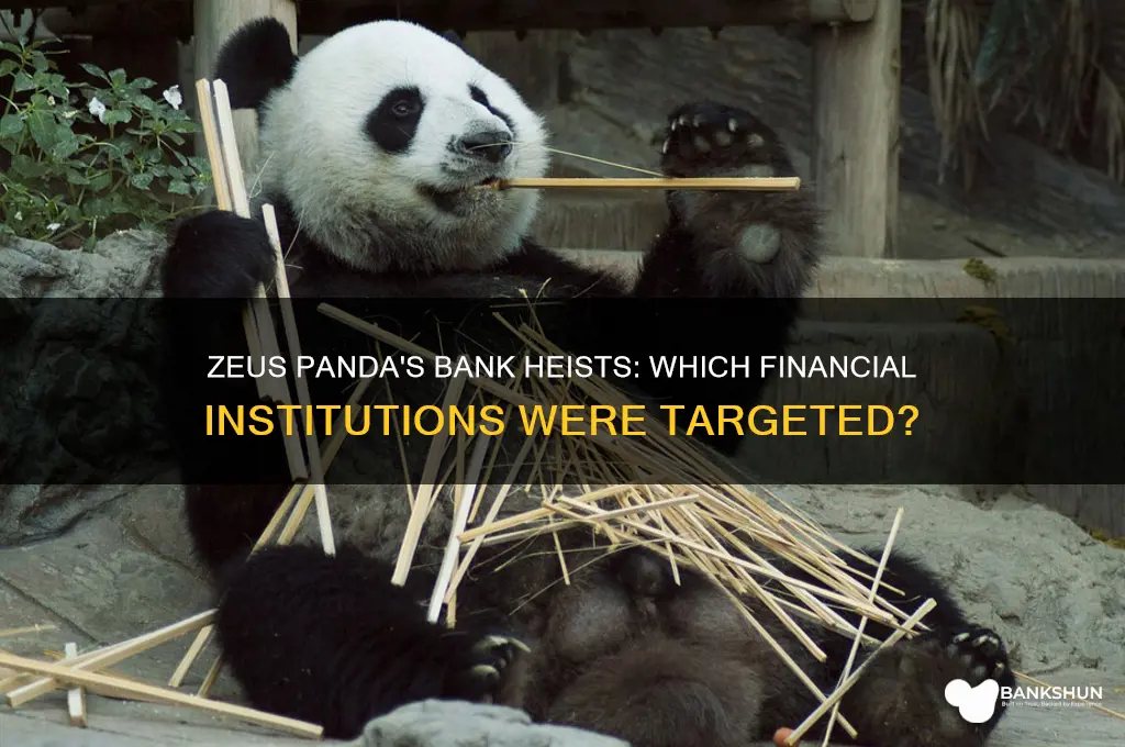 what banks has zeus panda stolen from