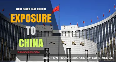 China's Economic Influence: Which Global Banks Face the Highest Exposure?
