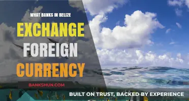Belize Banks Offering Foreign Currency Exchange Services: A Comprehensive Guide