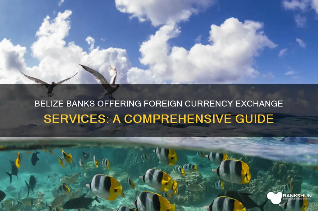 what banks in belize exchange foreign currency