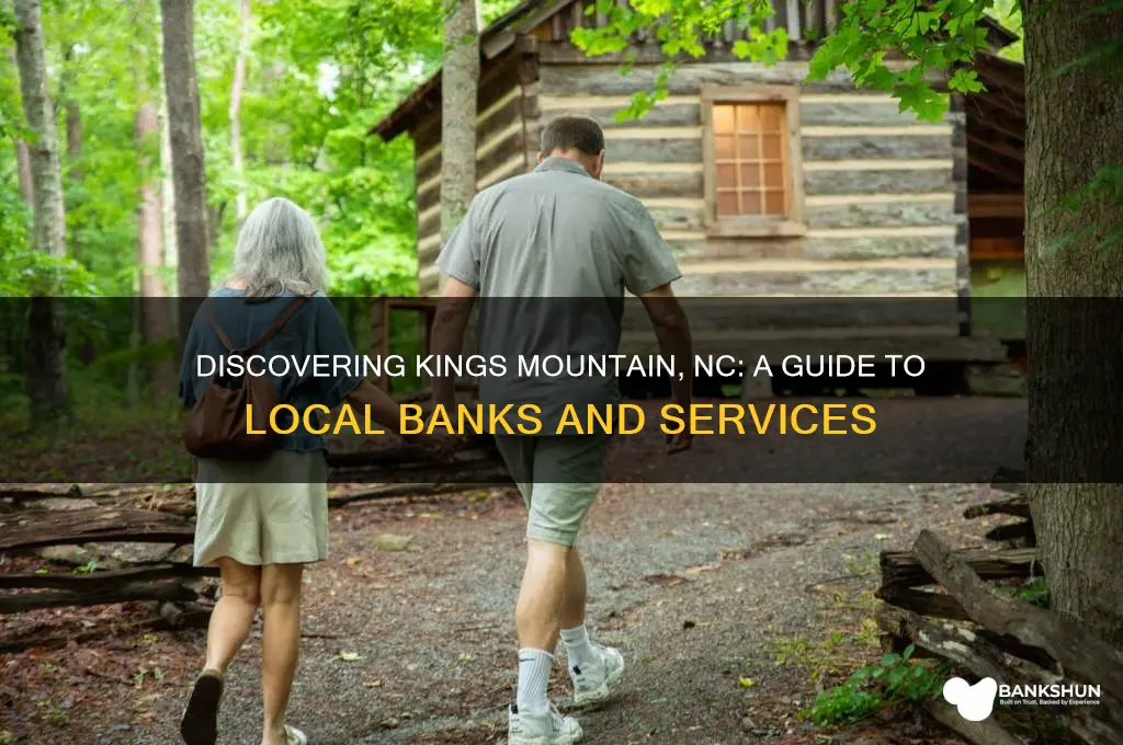 what banks is in kings mountain nc