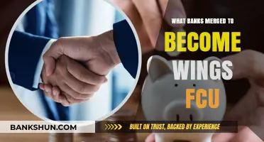 The Evolution of Wings Financial: A Merger Story of Banks