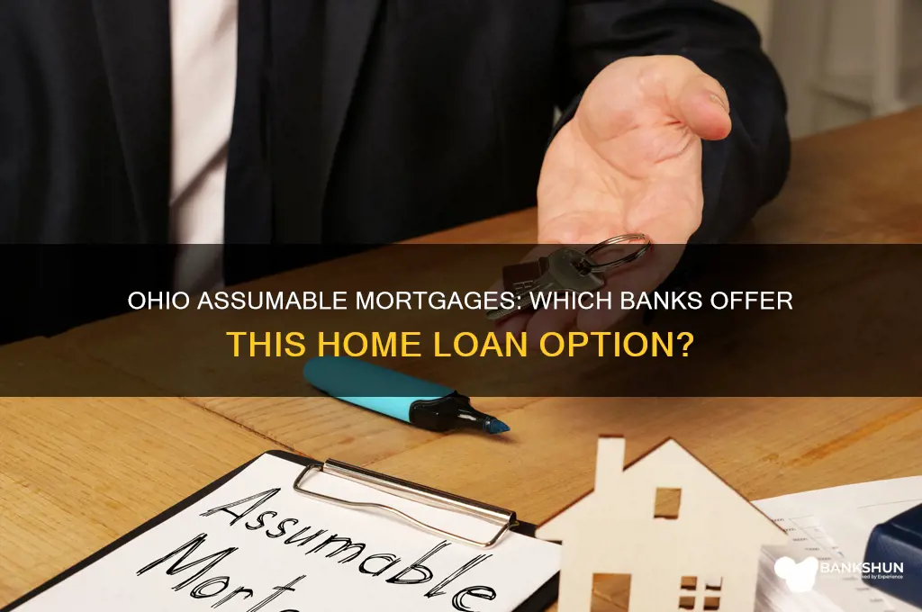what banks offer assumable mortgages in ohio