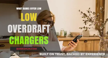 Discover Banks with the Lowest Overdraft Fees Today