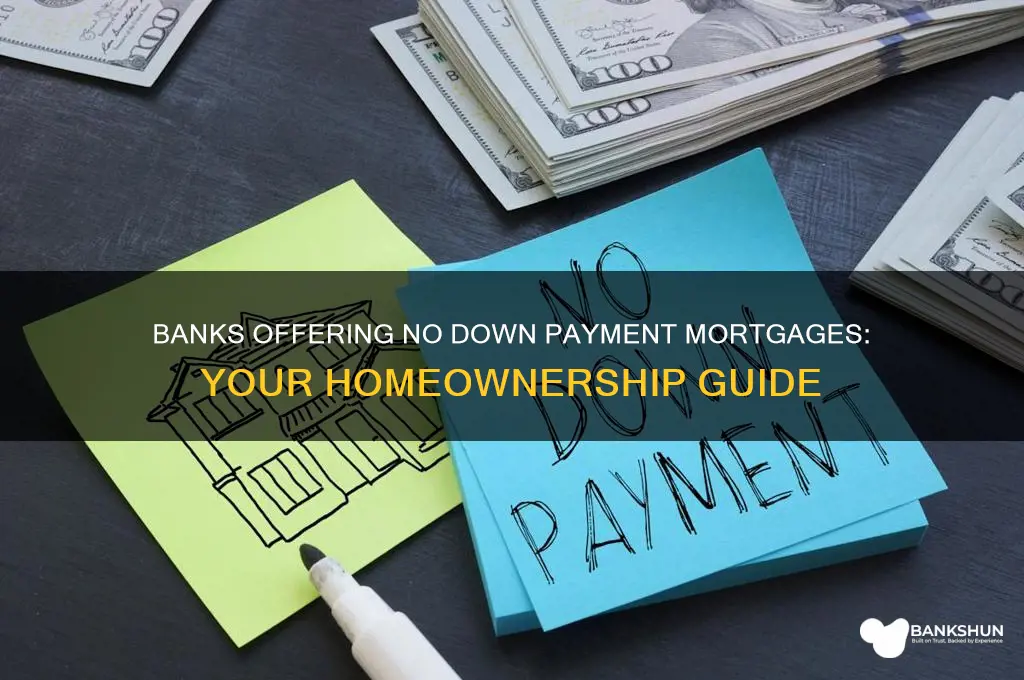 what banks offer no down payment mortgages