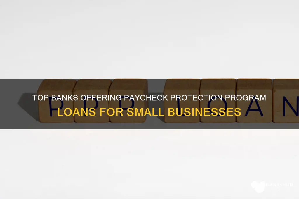 what banks offer the paycheck protection program