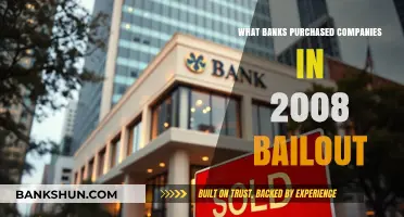 2008 Bank Bailout: Which Financial Giants Bought Struggling Companies?