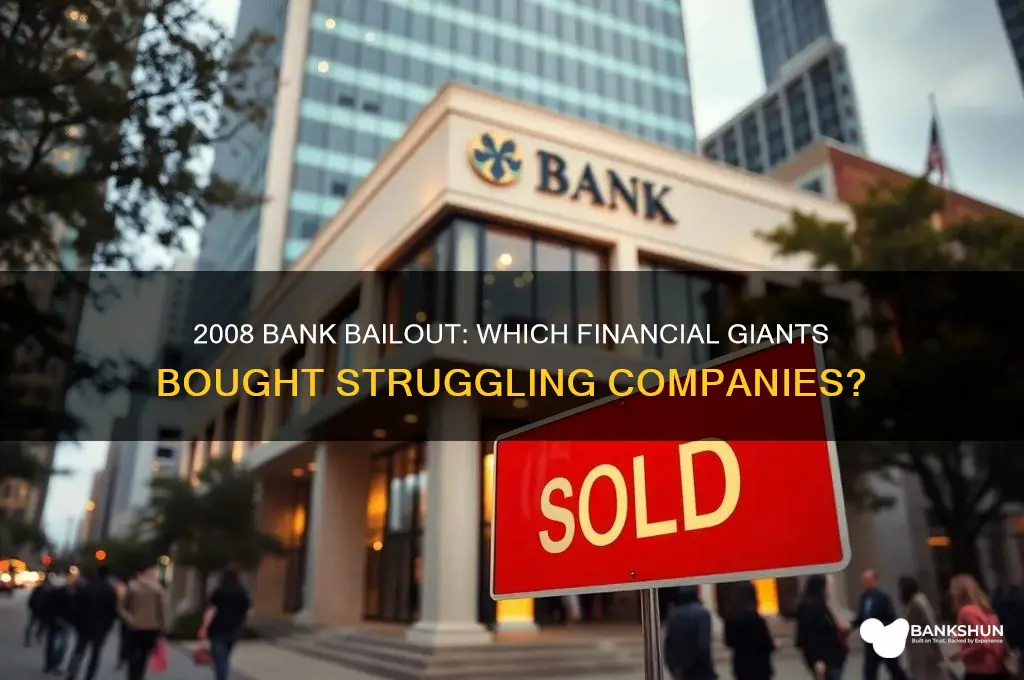 what banks purchased companies in 2008 bailout