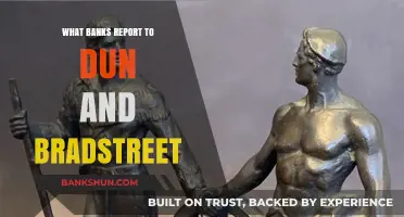 Banks Reporting to Dun & Bradstreet: What You Need to Know