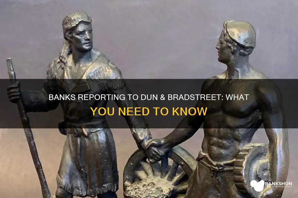 what banks report to dun and bradstreet
