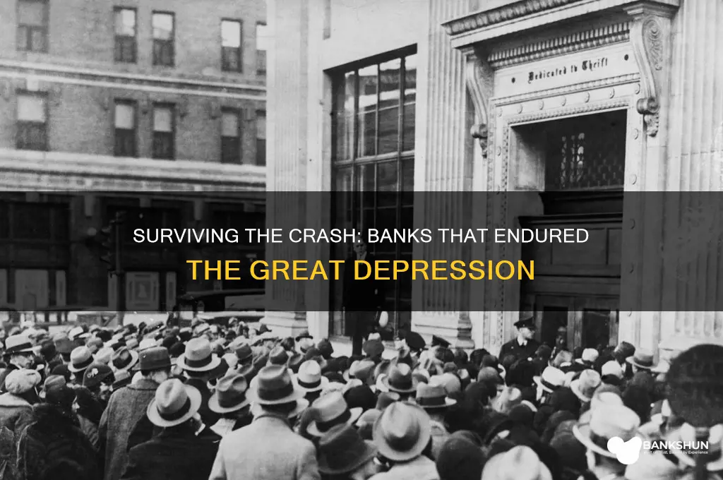 what banks was left after great depression