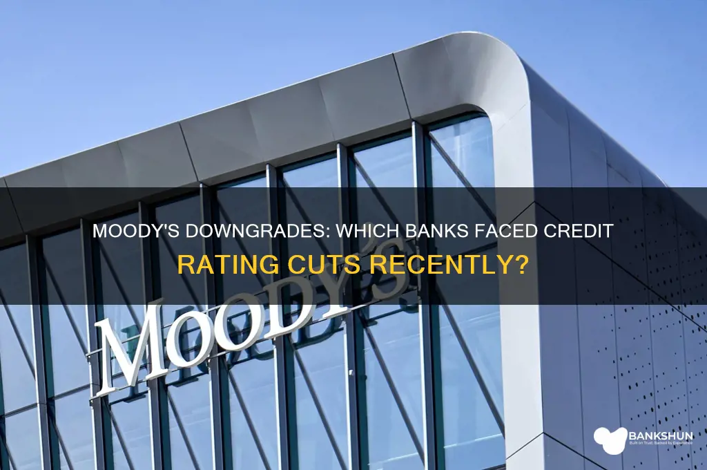 what banks were downgraded by moody
