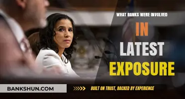 Latest Exposure Scandal: Which Banks Are Implicated and Why?