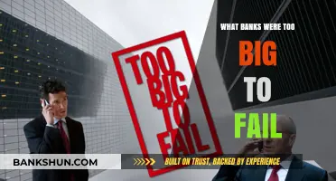 Too Big to Fail: Unraveling the Banking Giants' Financial Crisis Legacy