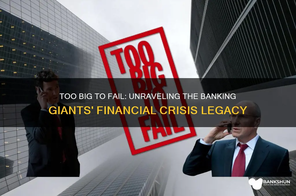 what banks were too big to fail