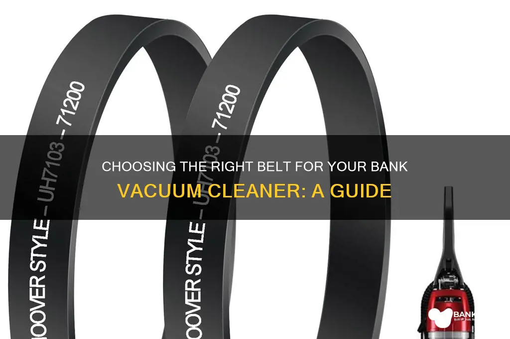 what belt for the bank vacuum cleaner
