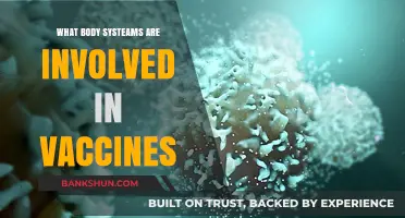 Vaccines and the Body: Exploring Immune, Lymphatic, and Cellular Systems