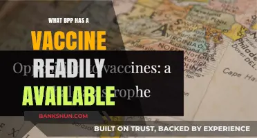 Which BPP Offers a Readily Available Vaccine: A Comprehensive Guide