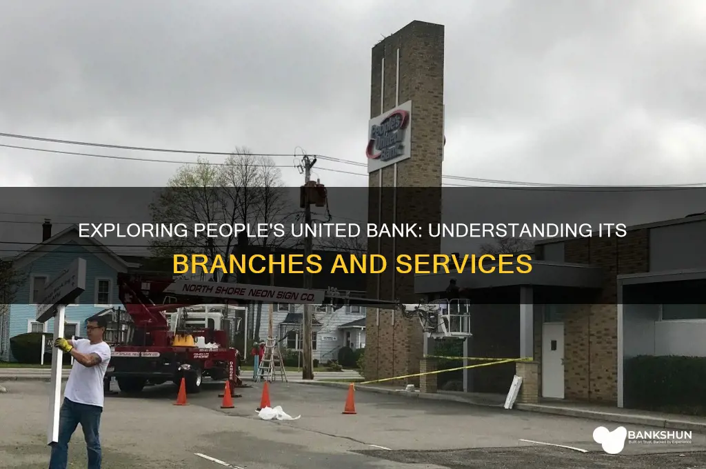 what branch of people