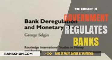 Which Government Branch Oversees Bank Regulations and Financial Stability?