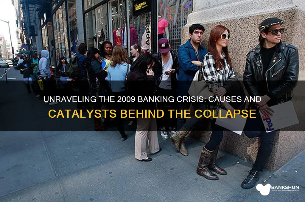 what brought about the 2009 banking crisis