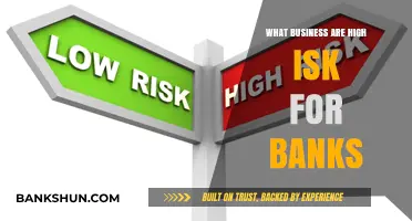 High-Risk Businesses: Identifying Industries Banks Approach with Caution