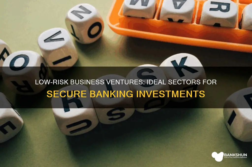 what business are low risk for banks