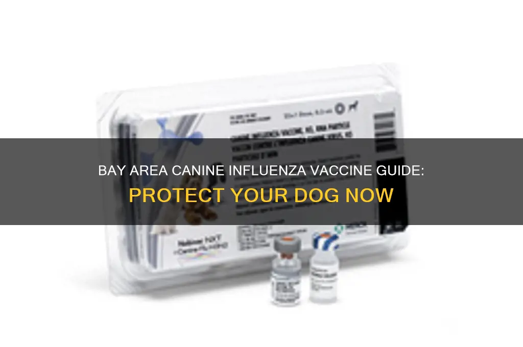 what canine influenza vaccine for bay area