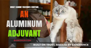 Canine Vaccines with Aluminum Adjuvants: What Pet Owners Should Know