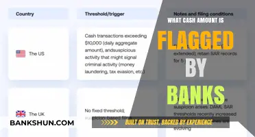 How Much Cash Triggers Bank Alerts and Suspicious Activity Reports?