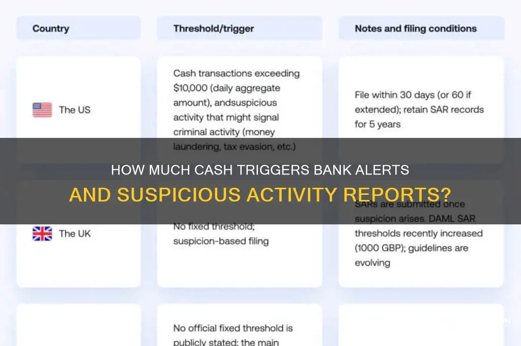 what cash amount is flagged by banks
