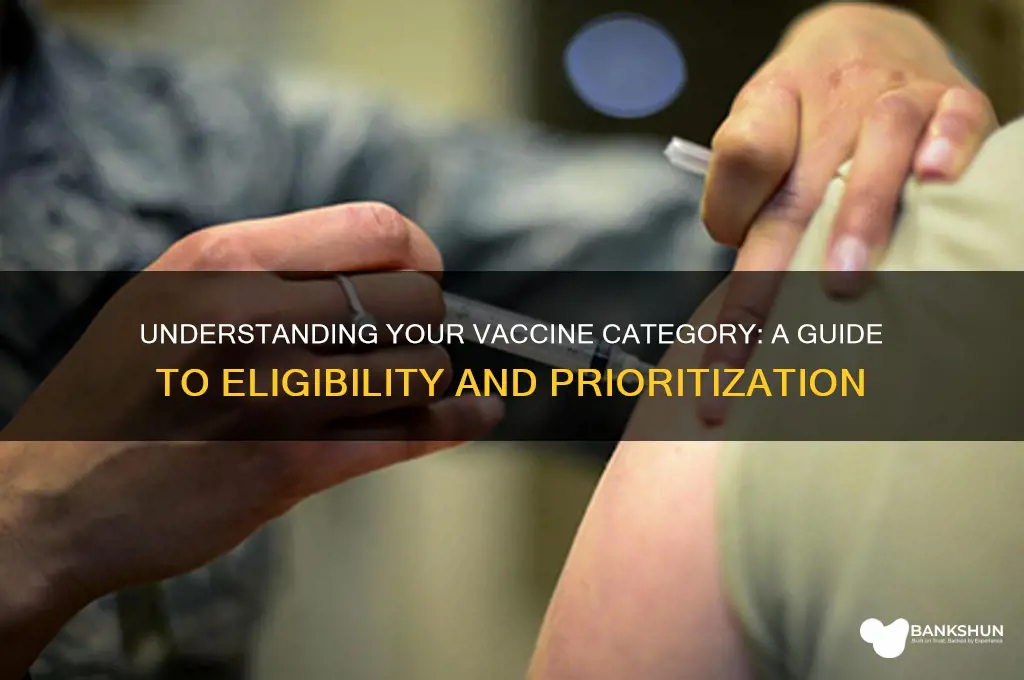 what category am i in for vaccine