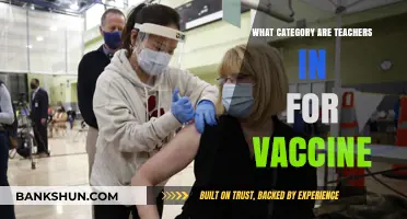 Teachers' Vaccine Priority: Understanding Their Category in Immunization Rollouts